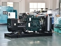 Groupes électrogènes diesel avec moteur Hyundai