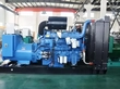 Groupes électrogènes diesel avec moteur Yuchai
